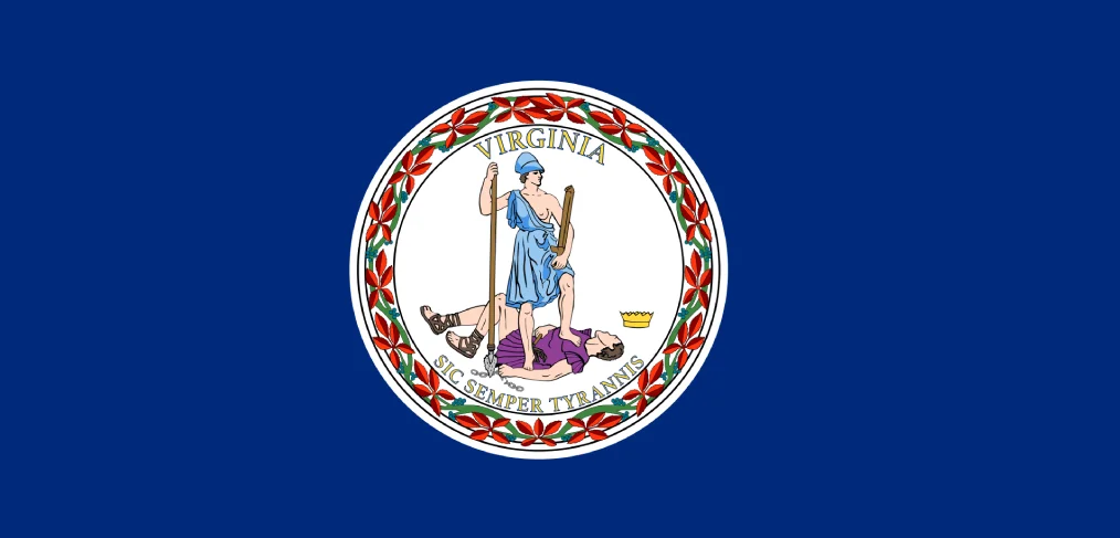Lista de ddi de cidades da Virginia - Estados Unidos